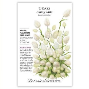 Grass Seeds – Botanical Interests – Bunny Tails