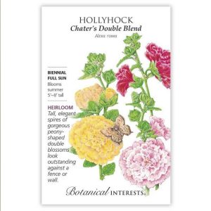 Hollyhock Seeds – Botanical Interests – Chater’s Double Blend