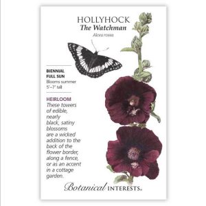 Hollyhock Seeds – Botanical Interests – The Watchman