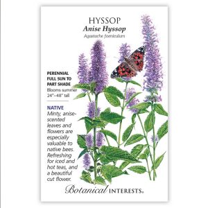 Anise Hyssop Seeds – Botanical Interests
