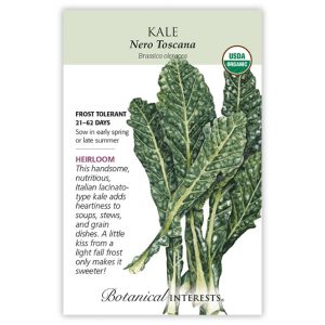 Kale Seeds – Botanical Interests – Nero Toscana