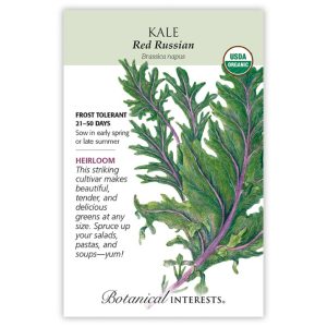 Kale Seeds – Botanical Interests – Red Russian (Organic)