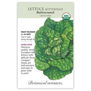 Butterhead Lettuce Seeds – Botanical Interests – Buttercrunch (Organic)