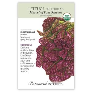 Butterhead Lettuce Seeds – Botanical Interests – Marvel of Four Seasons (Organic