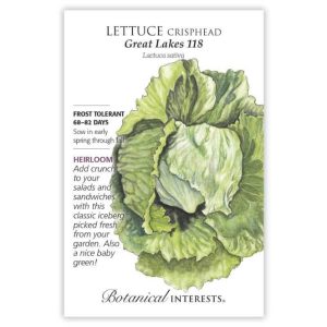 Crisphead Lettuce Seeds – Botanical Interests – Great Lakes 118