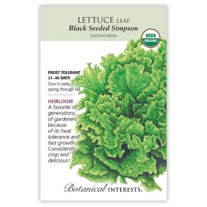 Leaf Lettuce Seeds – Botanical Interests – Black Seeded Simpson (Organic)