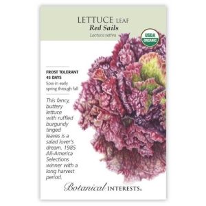Leaf Lettuce Seeds – Botanical Interests – Red Sails (Organic)