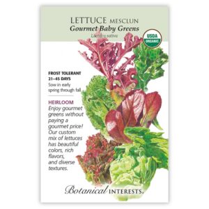 Botanical Interests -Lettuce Mesclun – Gourmet Baby Greens Seeds – Organic Large