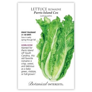 Romaine Lettuce Seeds – Botanical Interests – Parris Island COS