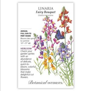 Linaria Seeds – Botanical Interests – Fairy Bouquet
