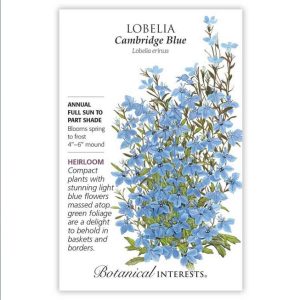 Lobelia Seeds – Botanical Interests – Cambridge Blue