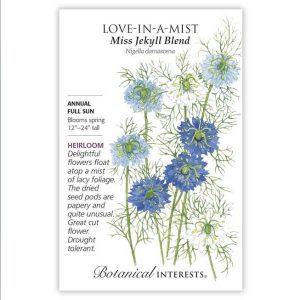 Love-in-a-Mist Seeds – Botanical Interests – Miss Jekyll Blend