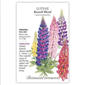 Lupine Seeds – Botanical Interests – Russell Blend