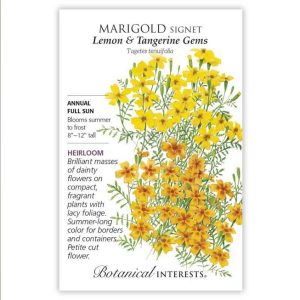 Signet Marigold Seeds – Botanical Interests – Lemon & Tangerine Gems