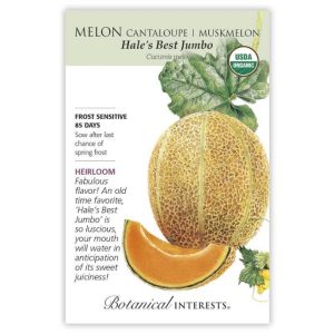 Cantaloupe / Muskmelon Seeds – Botanical Interests – Hale’s Best Jumbo (Organic)