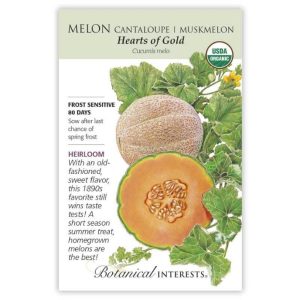 Cantaloupe / Muskmelon Seeds – Botanical Interests – Hearts of Gold (Organic)