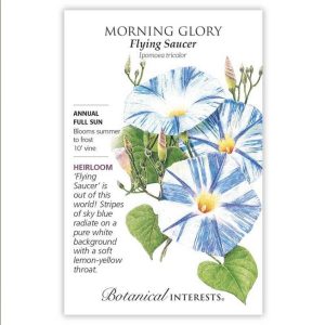 Morning Glory Seeds – Botanical Interests – Flying Saucer