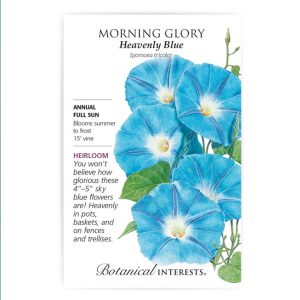 Morning Glory Seeds – Botanical Interests – Heavenly Blue
