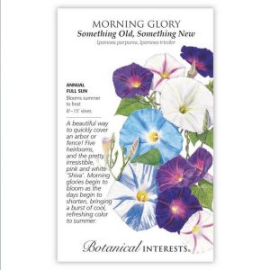 Morning Glory Seeds – Botanical Interests – Something Old, Something New (Large)