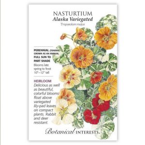 Nasturtium Seeds – Botanical Interests – Alaska Variegated