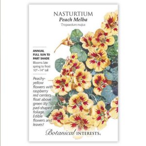 Nasturtium Seeds – Botanical Interests – Peach Melba