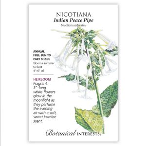 Nicotiana Seeds – Botanical Interests – Indian Peace Pipe