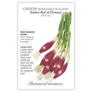 Bunching / Scallion Onion Seeds – Botanical Interests – Italian Red of Florence