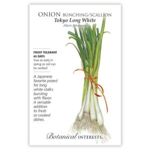 Bunching / Scallion Onion Seeds – Botanical Interests – Tokyo Long White