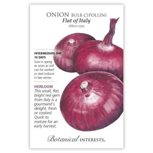 Bulb Onion Seeds – Botanical Interests – Cipollini Flat of Italy