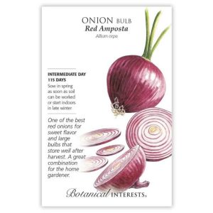 Bulb Onion Seeds – Botanical Interests – Red Amposta