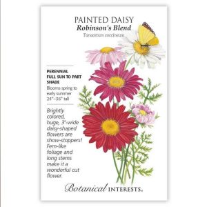 Painted Daisy Seeds – Botanical Interests – Robinson’s Blend
