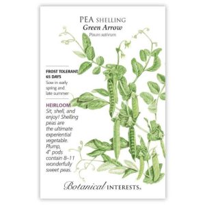 Shelling Pea Seeds – Botanical Interests – Green Arrow