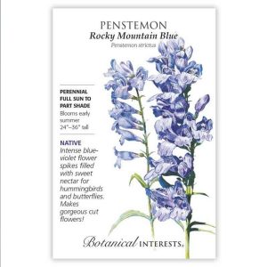 Penstemon Seeds – Botanical Interests – Rocky Mountain Blue