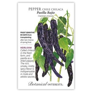 Chile Pepper Seeds – Botanical Interests – Pasilla Bajio Chilaca