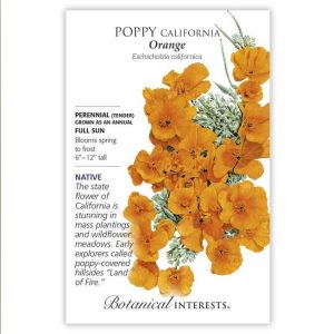 California Poppy Seeds – Botanical Interests – Orange