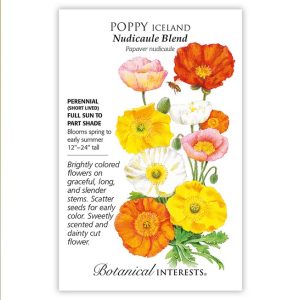 Iceland Poppy Seeds – Botanical Interests – Nudicaule Blend