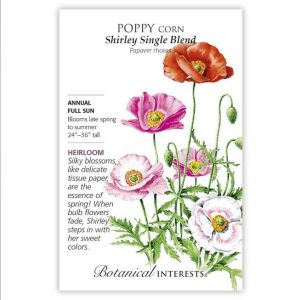 Corn Poppy Seeds – Botanical Interests – Shirley Single Blend