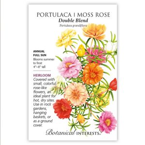 Portulaca / Moss Rose Seeds – Botanical Interests – Double Blend