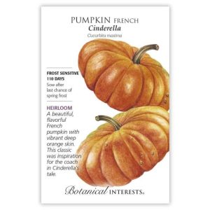 Pumpkin Seeds – Botanical Interests – Cinderella
