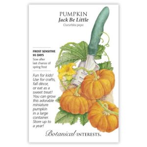Pumpkin Seeds – Botanical Interests – Jack Be Little