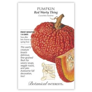 Pumpkin Seeds – Botanical Interests – Red Warty Thing
