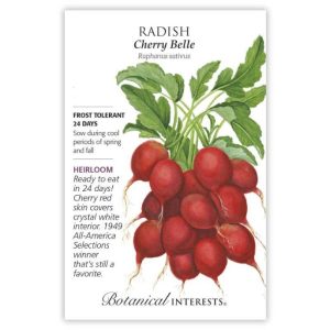 Radish Seeds – Botanical Interests – Cherry Belle