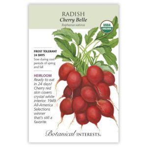 Radish Seeds – Botanical Interests – Cherry Belle (Organic)