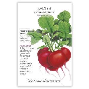 Radish Seeds – Botanical Interests – Crimson Giant