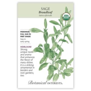 Botanical Interests – Sage – Broadleaf Seeds – Organic