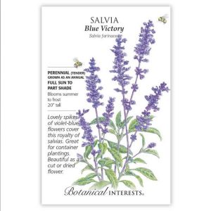 Salvia Seeds – Botanical Interests – Blue Victory