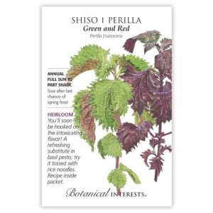 Shiso / Perilla Seeds – Botanical Interests – Green & Red