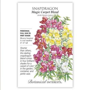 Snapdragon Seeds – Botanical Interests – Magic Carpet Blend