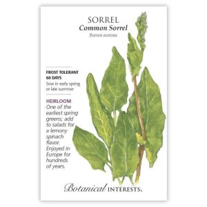 Sorrel Seeds – Botanical Interests – Common