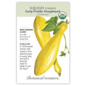 Botanical Interests -Squash Summer – Early Prolific Straightneck Seeds – Organic